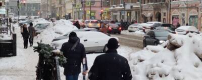 Артисты Петербурга объяснили снежный и мусорный кризис в городе равнодушием властей
