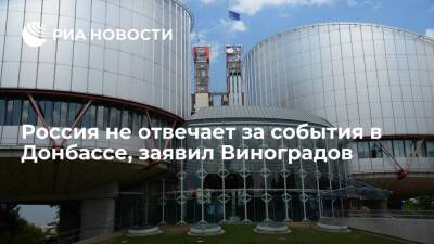 Представитель России в ЕСПЧ Виноградов: Россия не отвечает за события в Донбассе