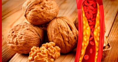 Как прожить дольше: простой орех защитит от диабета и снизит холестерин