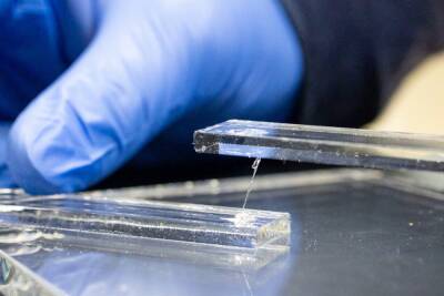 Американские исследователи создали из переработанного пластика самый прочный в мире клей — SiNP