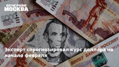 Антон Быков - Эксперт спрогнозировал курс доллара на начало февраля - vm.ru - Россия - США