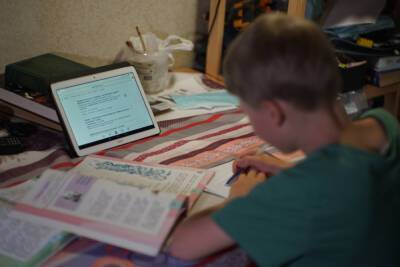 В Кремле ответили на вопрос о переводе школьников на онлайн-обучение