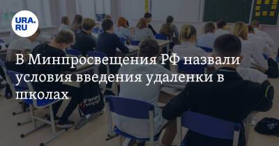 В Минпросвещения РФ назвали условия введения удаленки в школах