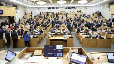 Законопроект, отменяющий райсоветы, не поддержали три депутата ГД от Челябинской области