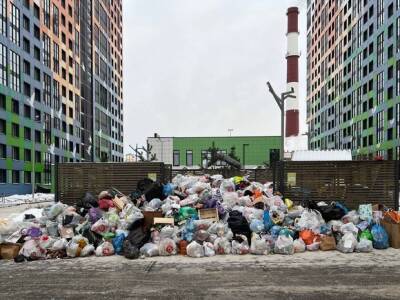 В Петербурге разработают «тепловую карту» по уборке мусора