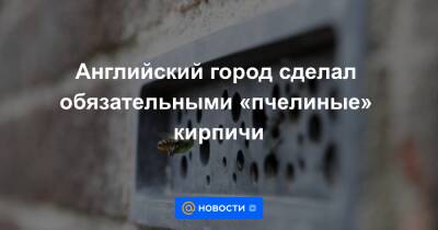 Анна Лысенко - Английский город сделал обязательными «пчелиные» кирпичи - news.mail.ru - Англия