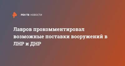Лавров прокомментировал возможные поставки вооружений в ЛНР и ДНР