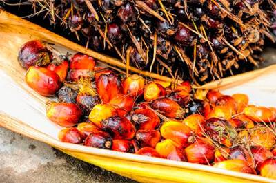 В 2021 импорт пальмового масла увеличился на 65%, экспорт – более чем в 3 раза