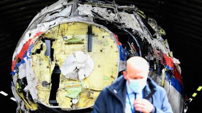 Представитель при ЕСПЧ: Россия обнародует переданные Нидерландам документы по делу MH17