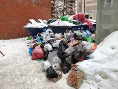 Петербуржцы больше не доверяют обещаниям Смольного убрать мусор