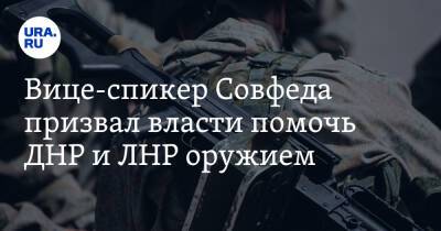 Вице-спикер Совфеда призвал власти помочь ДНР и ЛНР оружием