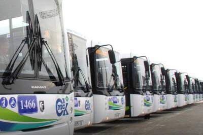 По миллиону в год: в Омске оценили «газовые» автобусы