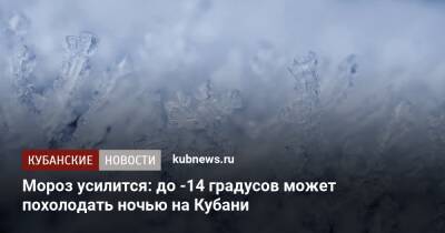Мороз усилится: до -14 градусов может похолодать ночью на Кубани