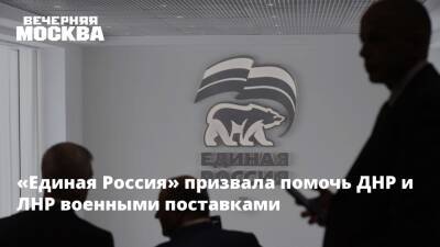 «Единая Россия» призвала помочь ДНР и ЛНР военными поставками