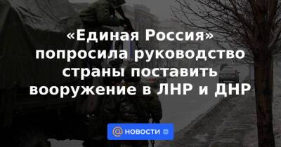 «Единая Россия» попросила руководство страны поставить вооружение в ЛНР и ДНР