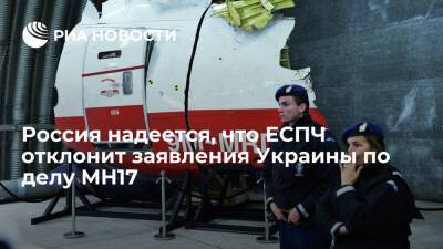 Михаил Виноградов - Виноградов: Россия ожидает, что ЕСПЧ отклонит заявления Нидерландов и Украины по делу MH17 - ria.ru - Москва - Россия - Украина - Киев - Крым - Голландия