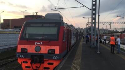 В Воронеже гражданина США преследуют по УК за нападение на полицейского в поезде