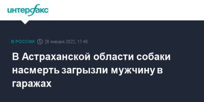 Игорь Бабушкин - В Астраханской области собаки насмерть загрызли мужчину в гаражах - interfax.ru - Москва - Астрахань - Астраханская обл. - район Приволжский