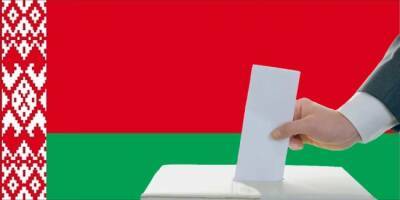 Белорусскую оппозицию не пустили в комиссии по проведению референдума