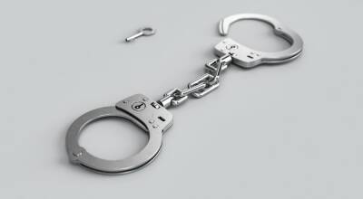 Суд арестовал задержанного по подозрению в ограблении вдовы Градского