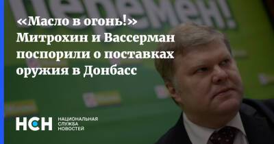 «Масло в огонь!» Митрохин и Вассерман поспорили о поставках оружия в Донбасс