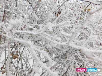 Температура в Ростовской области резко упадет до -16 градусов