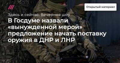 В Госдуме назвали «вынужденной мерой» предложение начать поставку оружия в ДНР и ЛНР