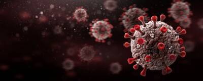 В ЮАР обнаружен новый потенциально опасный для человека коронавирус NeoCov