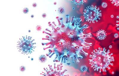 Ученые из Уханя заявили о новом коронавирусе, который представляет опасность для людей - ont.by - Белоруссия - Юар - Ухань