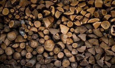 В Европейском парламенте предложили уменьшить экспорт древесины