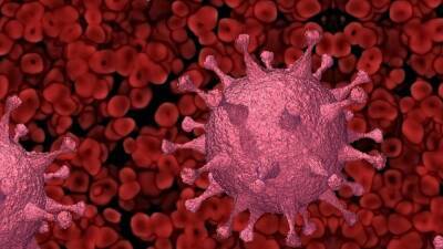 Китайские ученые нашли в ЮАР новый опасный коронавирус