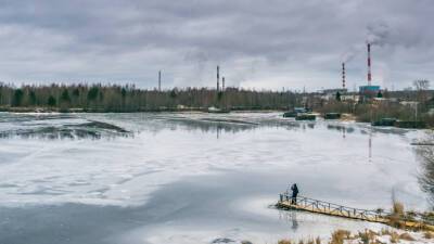 В Приморье рыбак спас застрявшую на льду беременную косулю