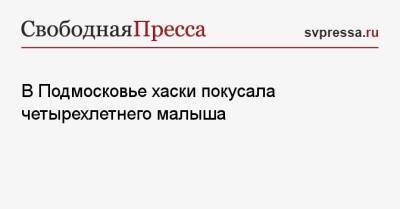 В Подмосковье хаски покусала четырехлетнего малыша