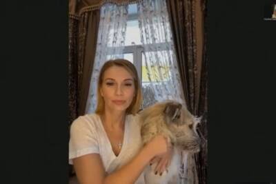 «Человек и животное — одно и то же»: Певица Орлова призвала бороться с собаками гуманно