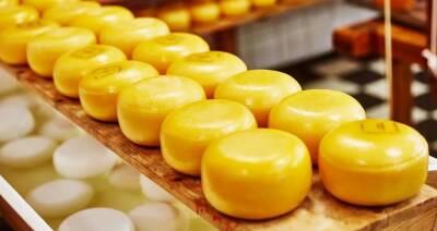 Россельхознадзор будет отслеживать все этапы производства белорусского сыра