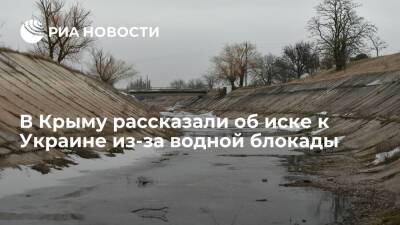 Депутат Трофимов: Крым потребует взыскать ущерб из-за водной блокадой с трех юрлиц Украины