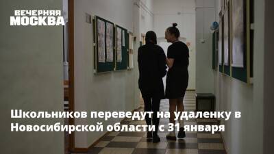 Школьников переведут на удаленку в Новосибирской области с 31 января