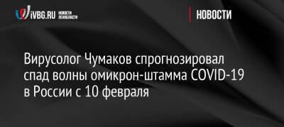 Вирусолог Чумаков спрогнозировал спад волны омикрон-штамма COVID-19 в России с 10 февраля