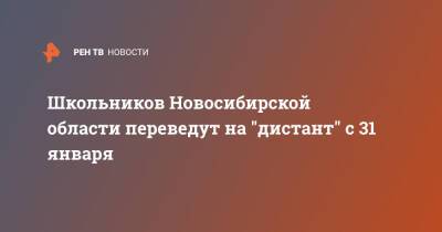 Школьников Новосибирской области переведут на "дистант" с 31 января