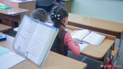 В Новосибирской области школьников переведут на дистант из-за «омикрона»