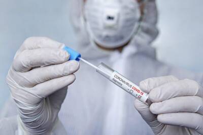 Как и когда нужно делать ПЦР-тест на коронавирус: ответы на вопросы