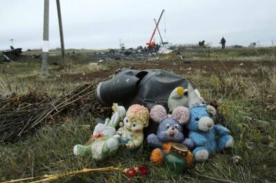 Нидерланды в ЕСПЧ: Пассажиры MH17 в момент катастрофы лайнера находились под юрисдикцией России