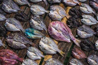 Провоцирует рак: врач рассказал, какая рыба вызывает онкологию