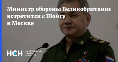 Министр обороны Великобритании встретится с Шойгу в Москве
