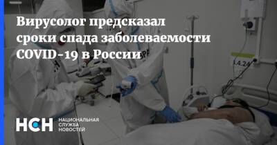 Вирусолог предсказал сроки спада заболеваемости COVID-19 в России