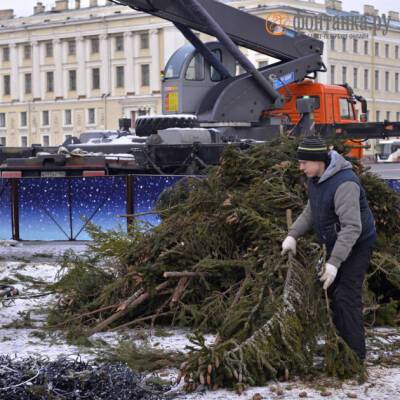 На Дворцовой площади демонтировали новогоднюю ель — фото