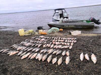 На Ямале поймали браконьера, наловившего рыбу на 540 тысяч рублей