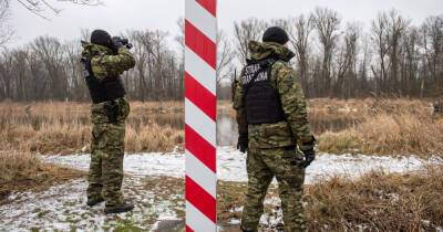 Польша начала строительство "стены" на границе с Беларусью
