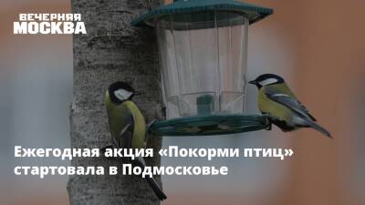 Ежегодная акция «Покорми птиц» стартовала в Подмосковье
