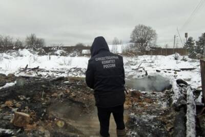 На пепелище дома в Тверской области нашли кости мужчины